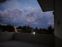 Indian_bigcock1 webcam