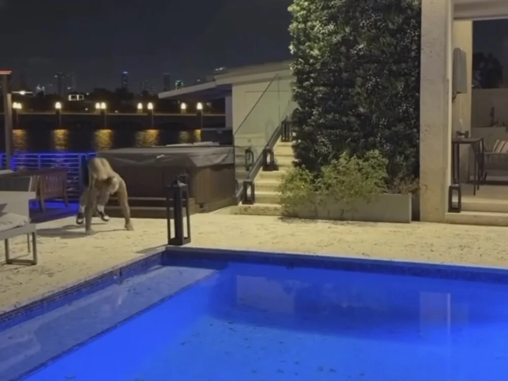 SrYohanのオフラインXXXチャット