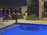 Модель SrYohan