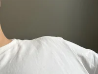 Linus2452 offline cam