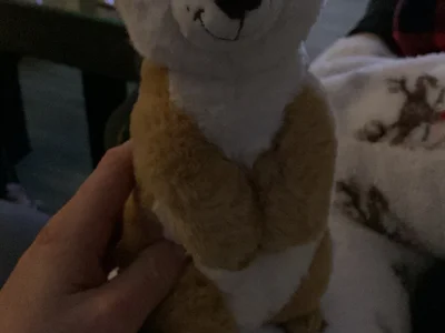 0405ba - Stripchat Cam2cam Handjob Smallaudience Boy 