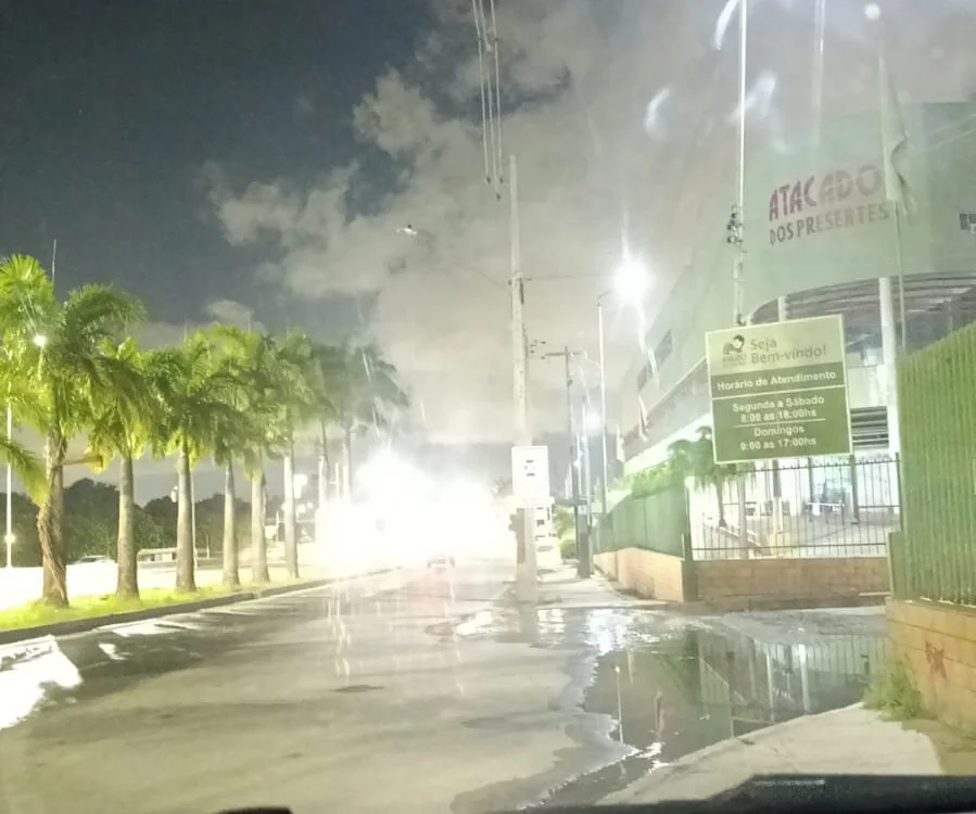 renanvalentim cam model