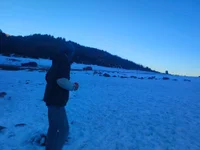 Niv6996's webcam live show