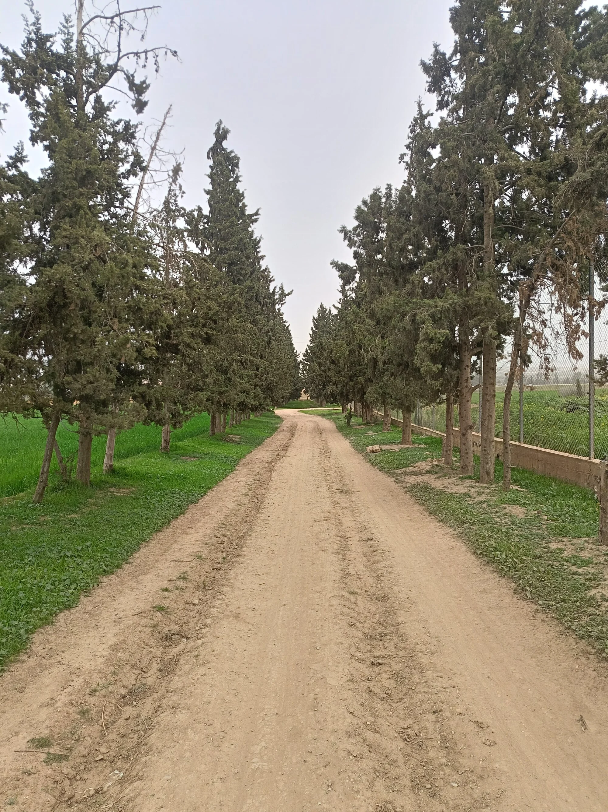 nasro_dv