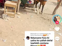 Qjkkol's webcam live show