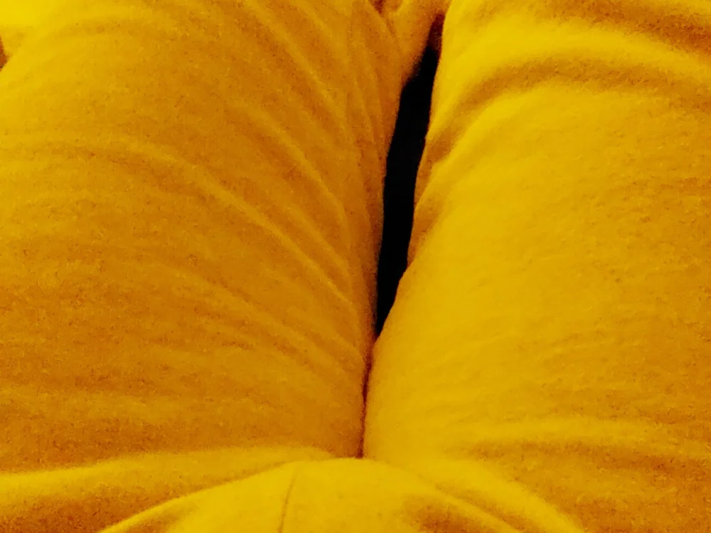 Chat XXX offline de 85Friedrich