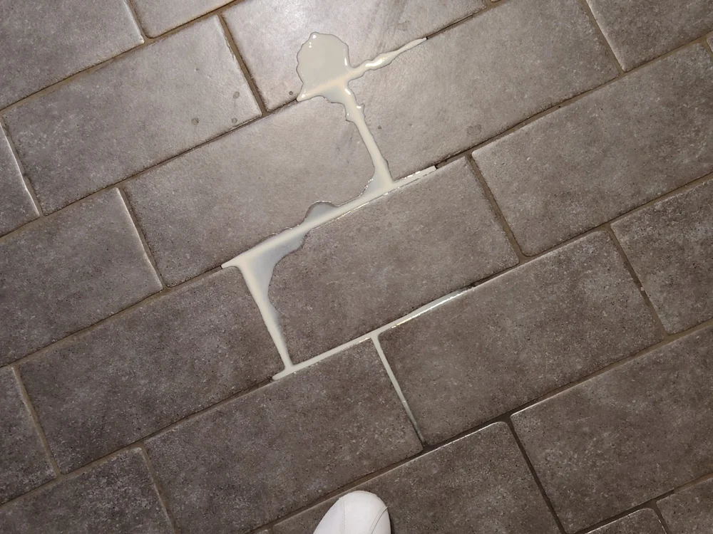 Dome24es Chat XXX offline