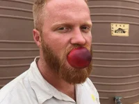 GingerFun