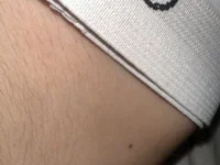 tHTT12