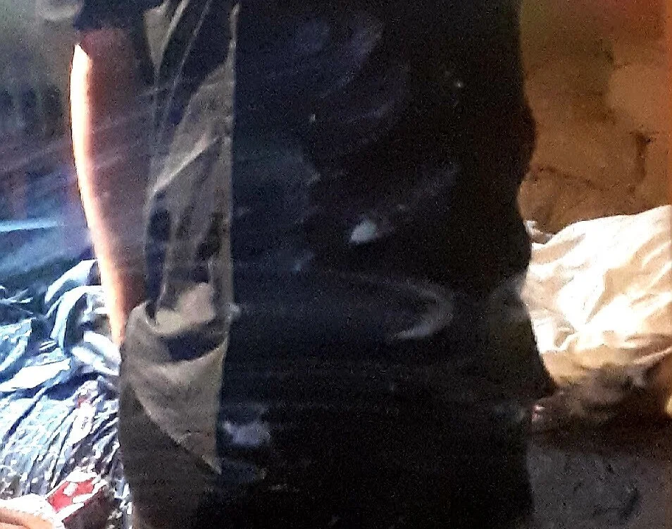 Chat XXX offline de TO261