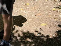 sasiber69