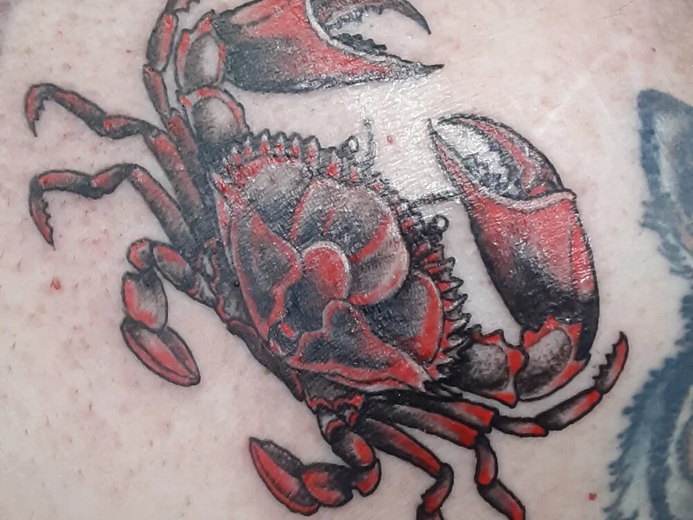 mms1316: συνομιλία ΧΧΧ εκτός σύνδεσης