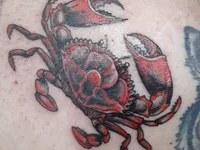 mms1316's webcam live show