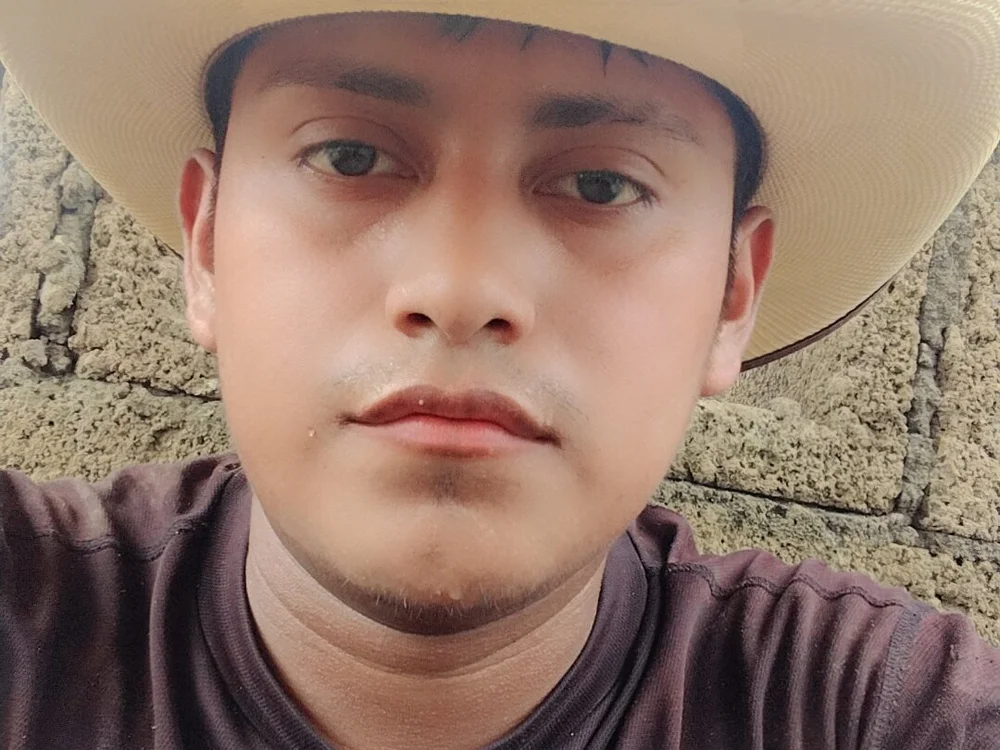 SaneMauve's most recent online preview