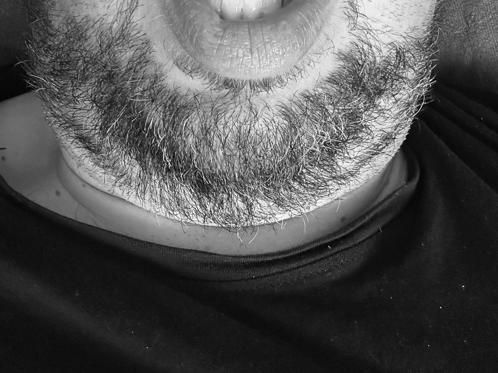 Chat XXX offline de elflama7