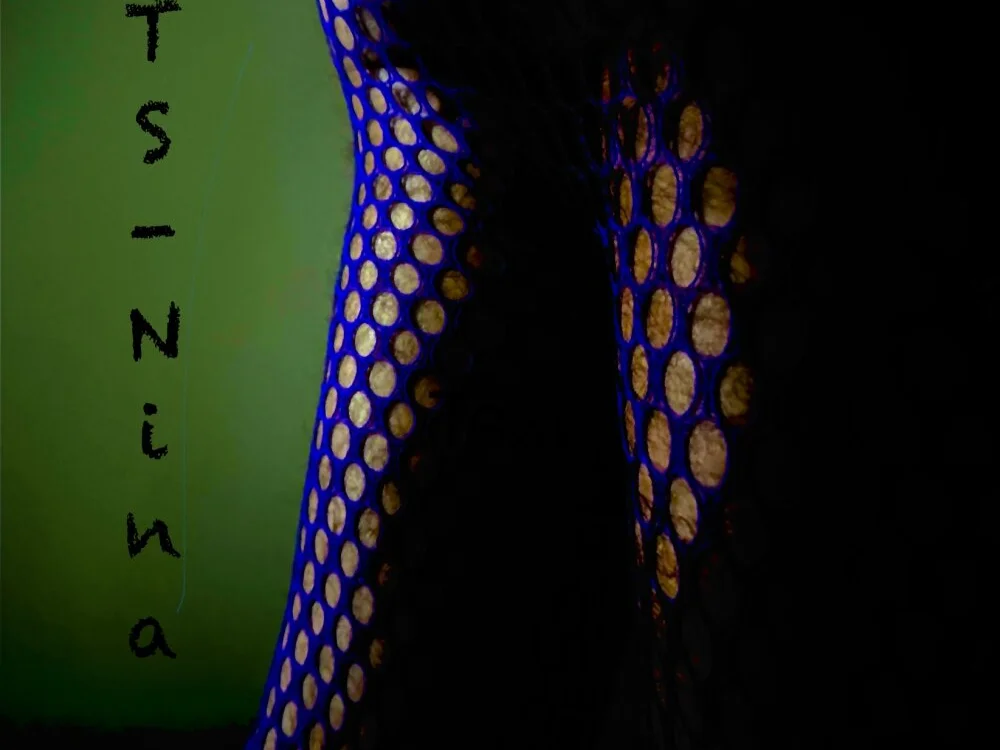 แชท XXX ออฟไลน์ของ TS-Nina