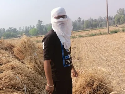 MagicalSpirit2 profile