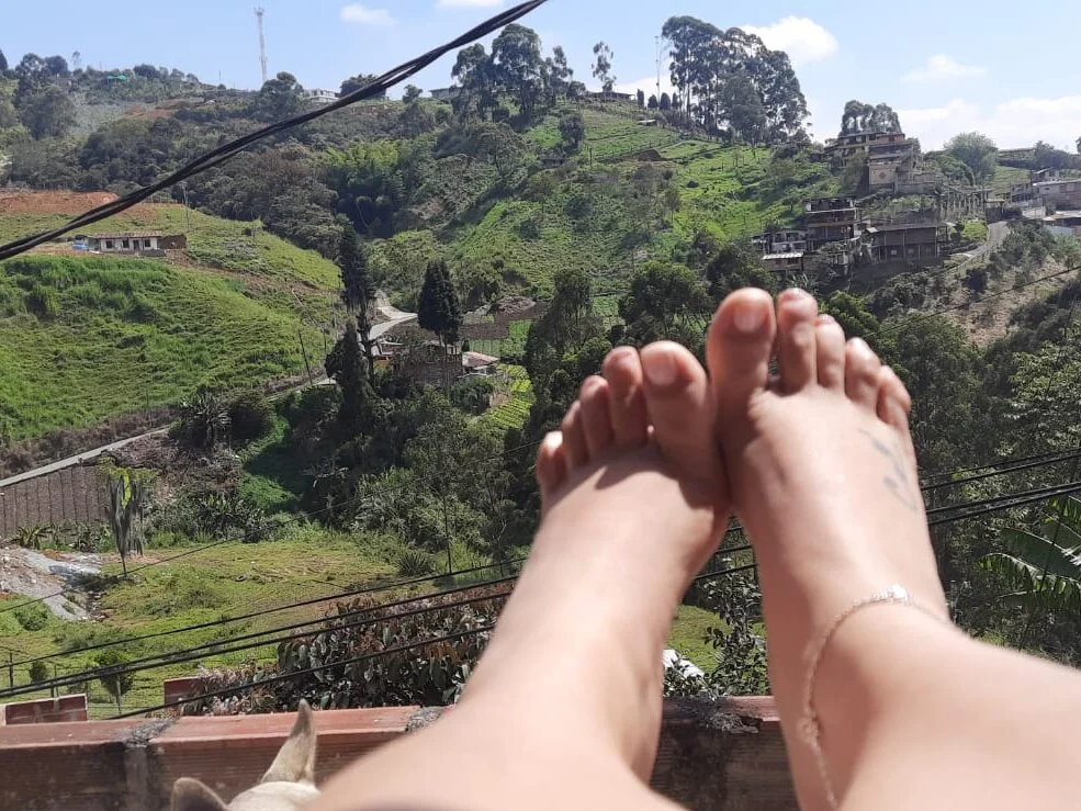 gracehill_ 离线XXX聊天