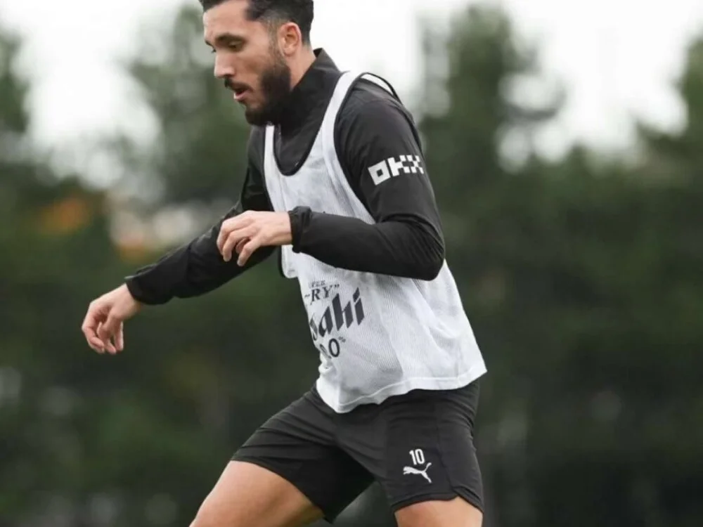 Wetatwork 离线XXX聊天