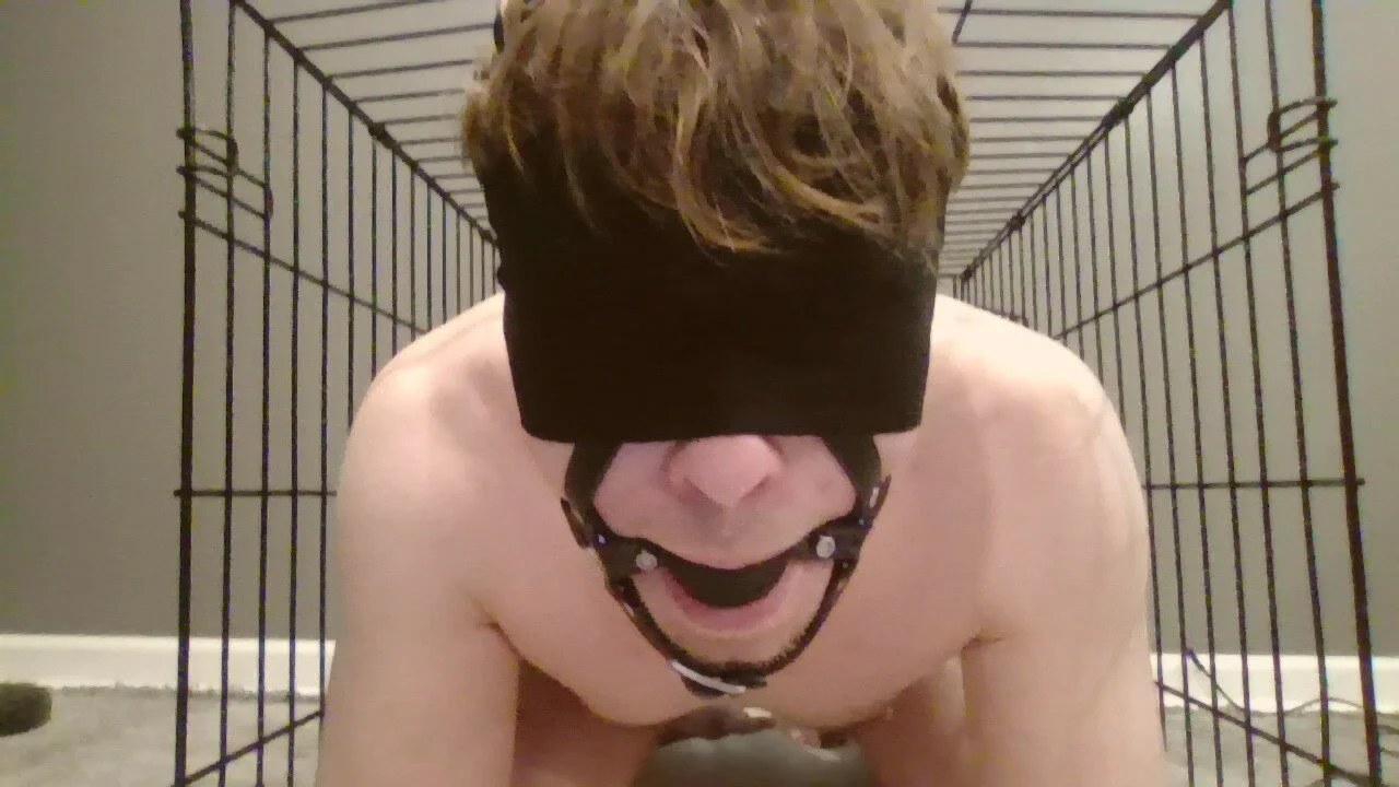 boundboytoy live webcam
