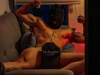 Модель DaviesBrown