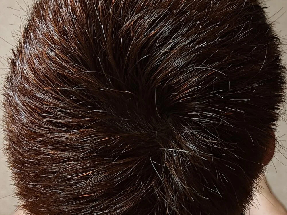 Офлайн-чат XXX dick-penisu102