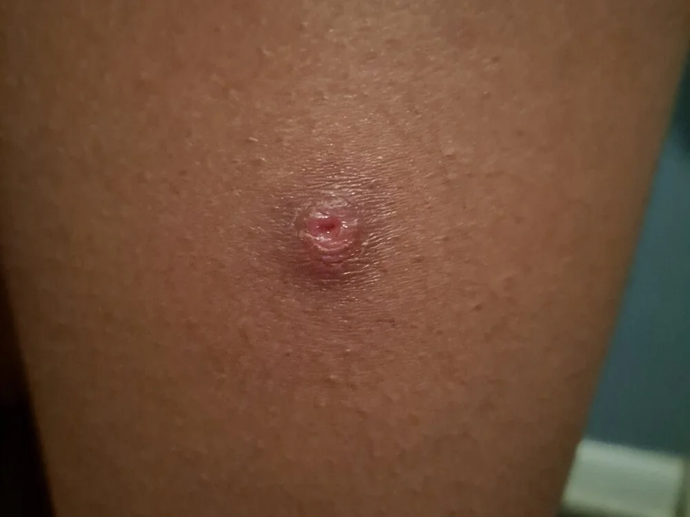 Chat XXX offline de Big_Booty_Bonnie