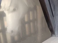 allen1379 live cam profile - MySuperHot