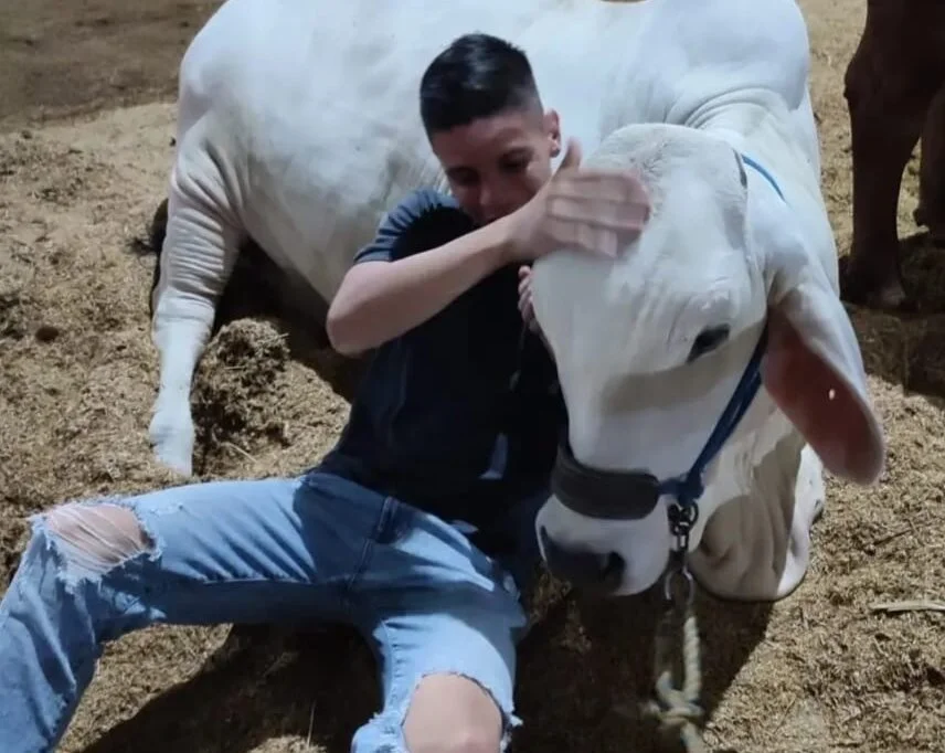 TommyMille Offline XXX-Chat