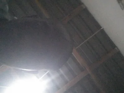Mochinii123r Male Young Cam Striptease