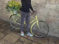 Модель 2diviu234