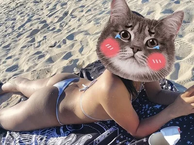 NTR_COUPLE - japanese