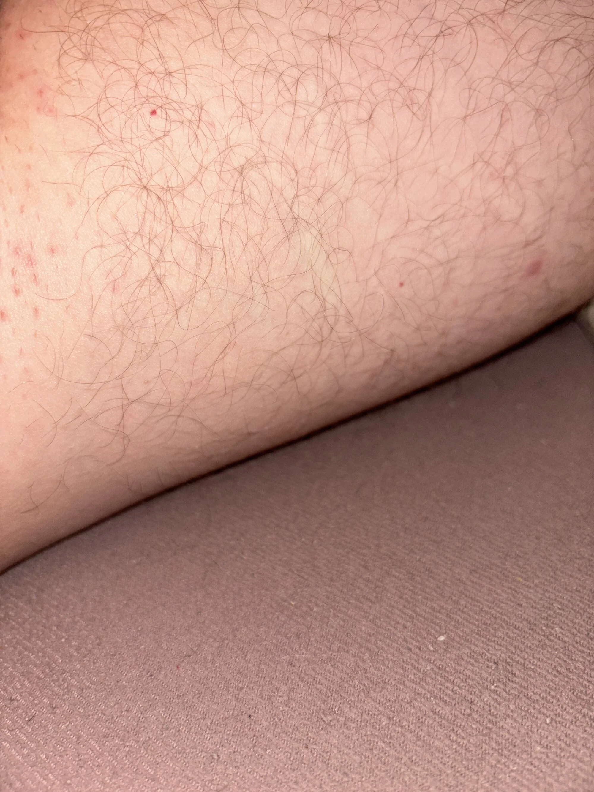 Caarlo_02