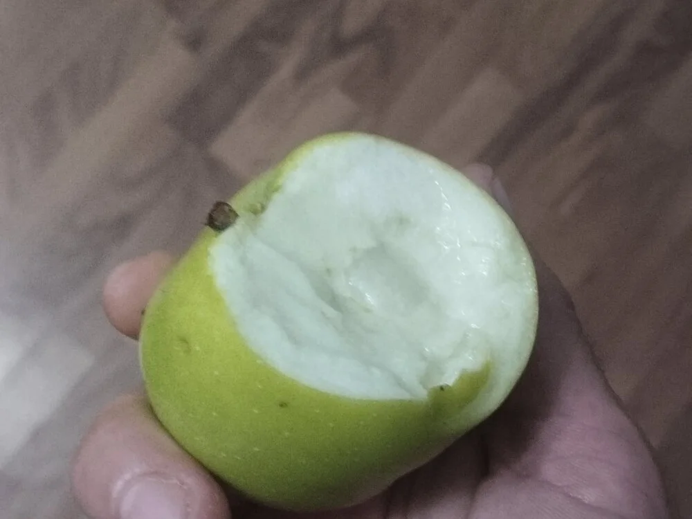 Yhnist34's Offline XXX Chat