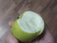 Yhnist34's webcam live show