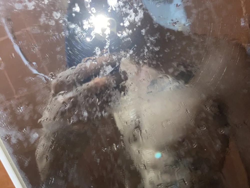 EnjoymentRapha's Offline XXX Chat