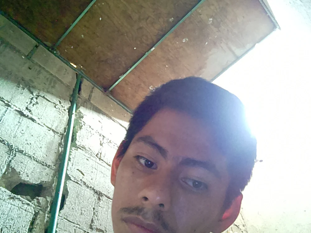Offline XXX chat 231ADRIANRANA