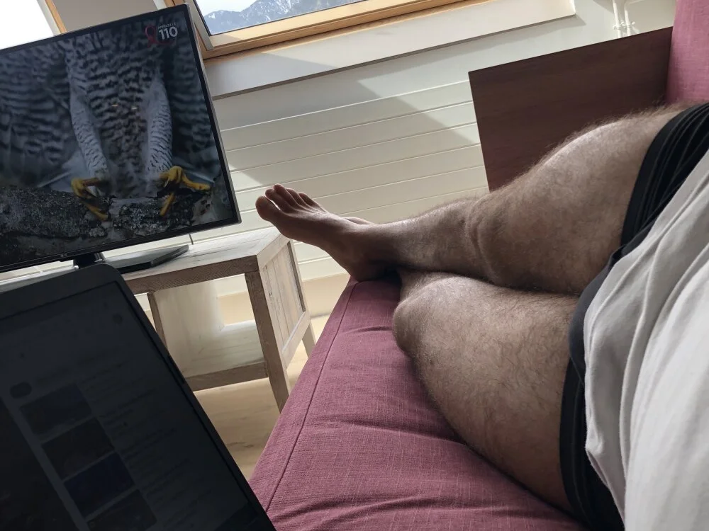 morfeoX Chat XXX offline