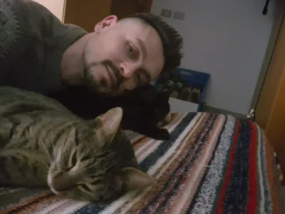 Adoroporcimaturi profile