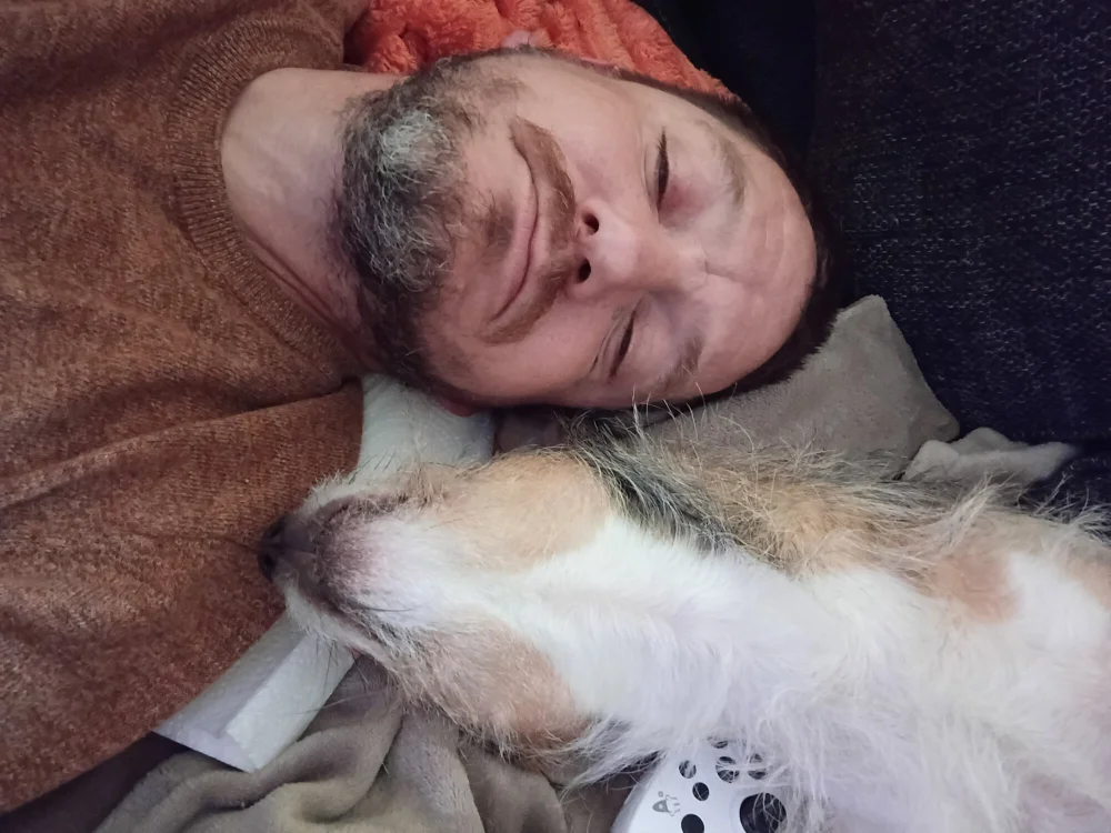 Testingisthison 離線 XXX 聊天