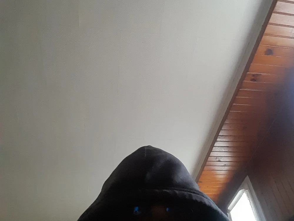 exhib_bite cam model