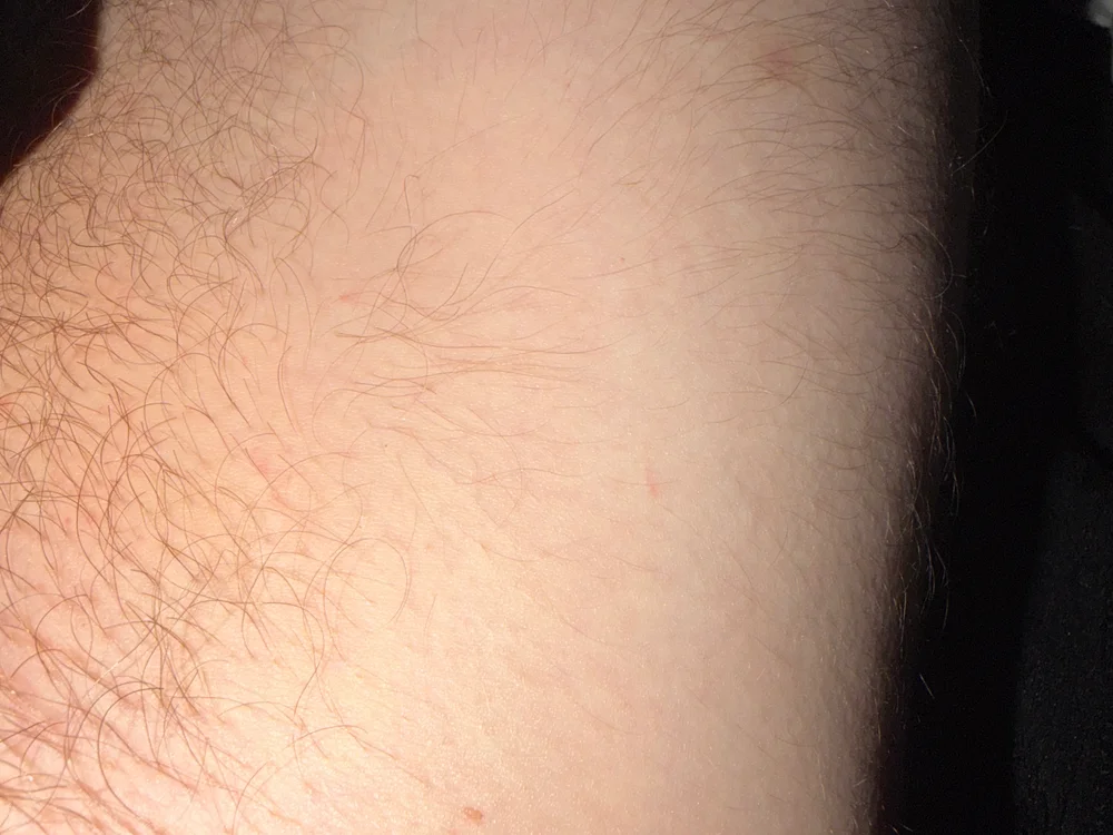 Justforfun3949 Chat XXX offline