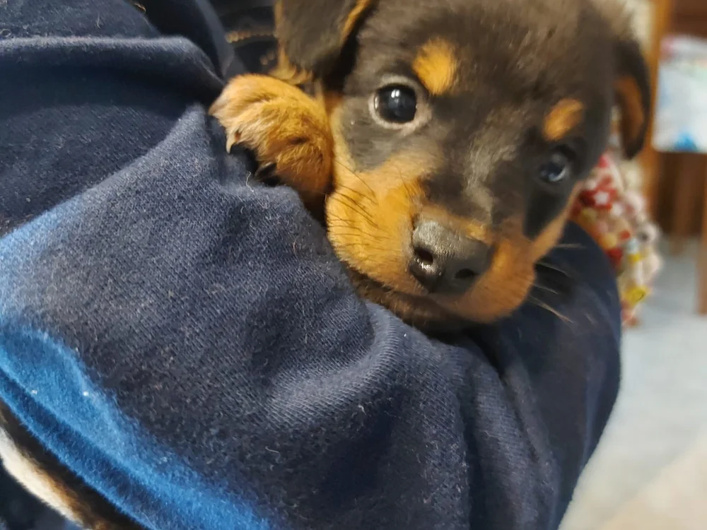 Chat XXX offline de IoAndrea