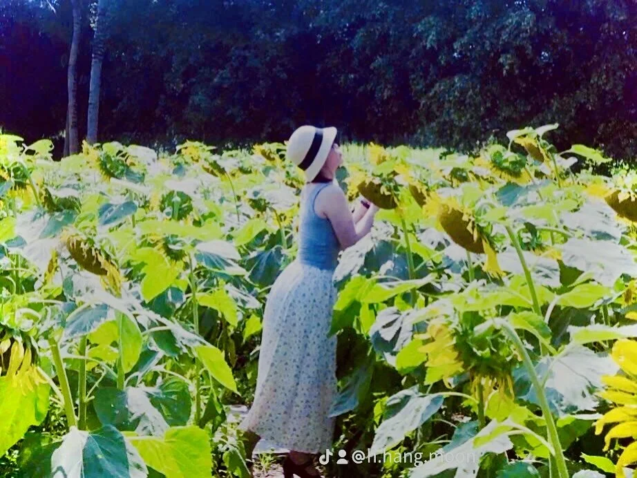 HellenChan's Offline XXX Chat