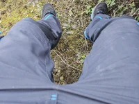 NormalHardDick's webcam live show