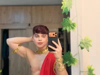 Модель PRINCE_STEV