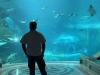 richardjackson6996's webcam live show