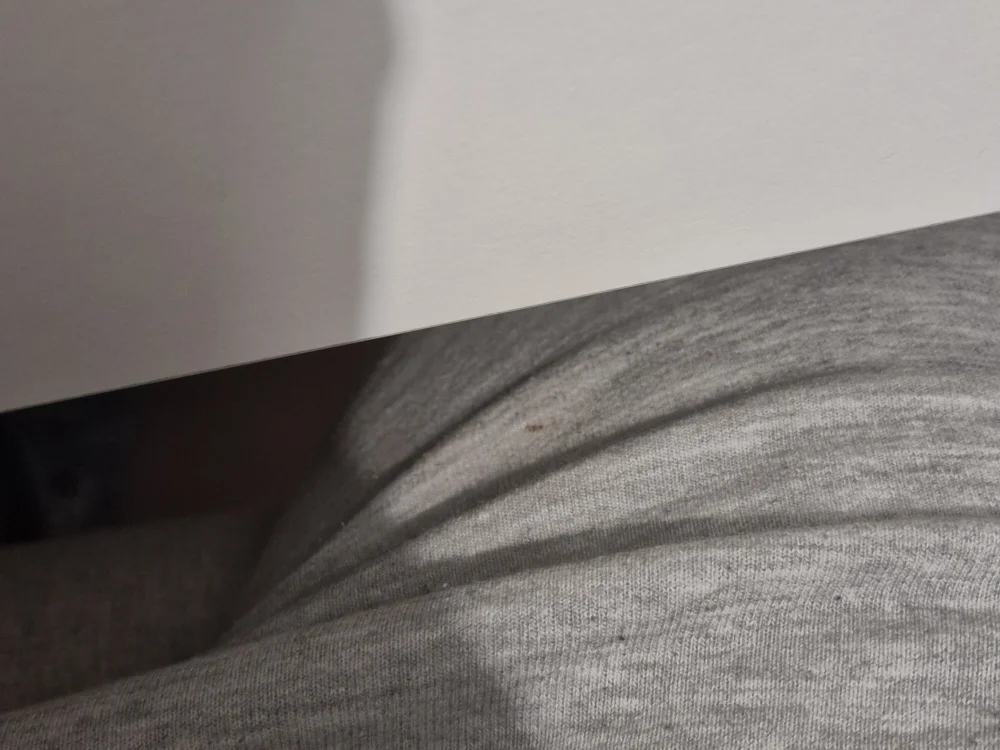 Tombnt06 Offline XXX Chat