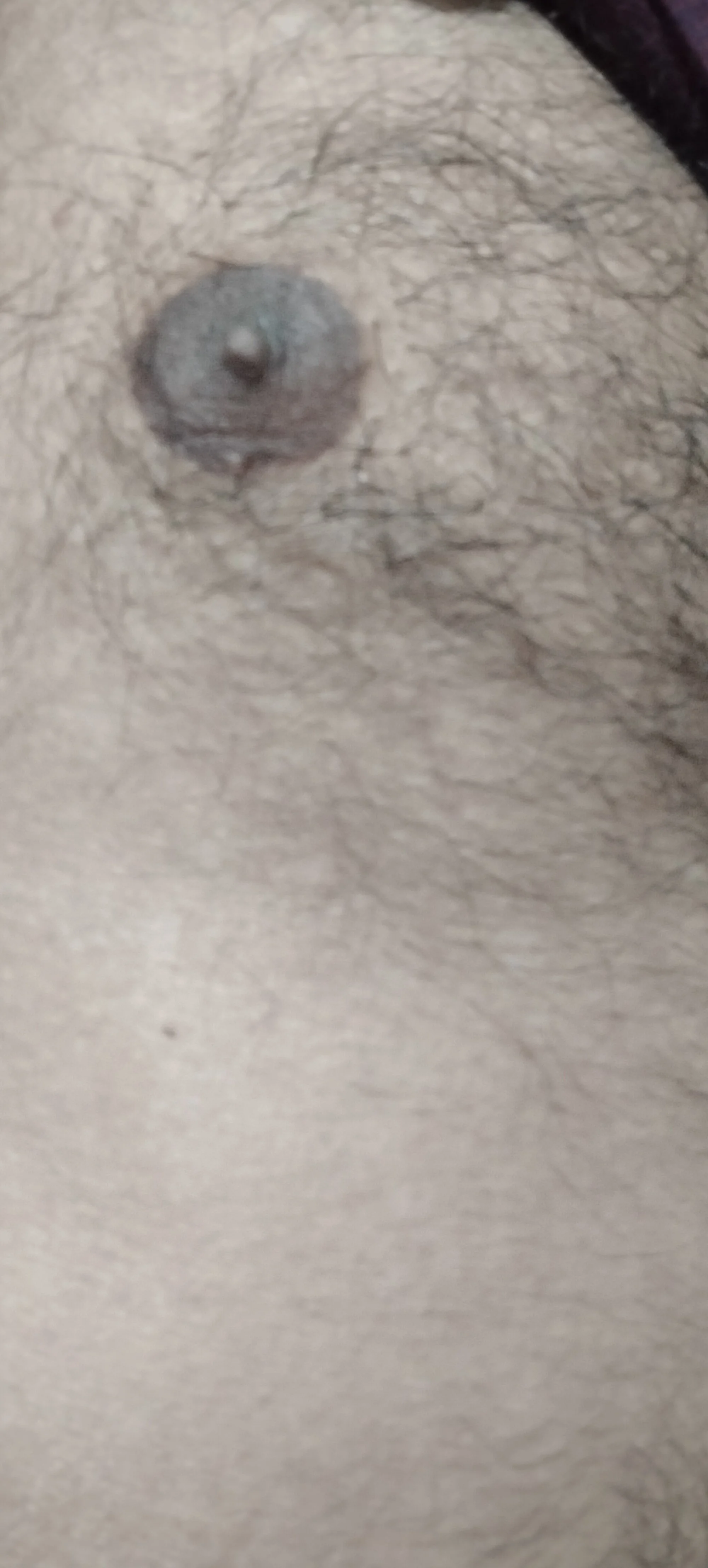 desiarnav