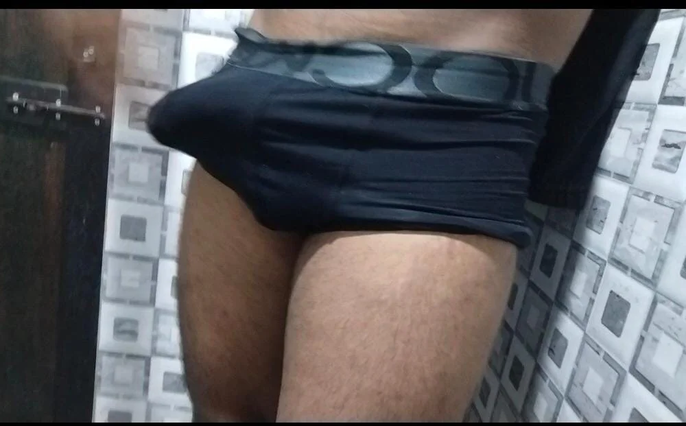 Breeding_bull